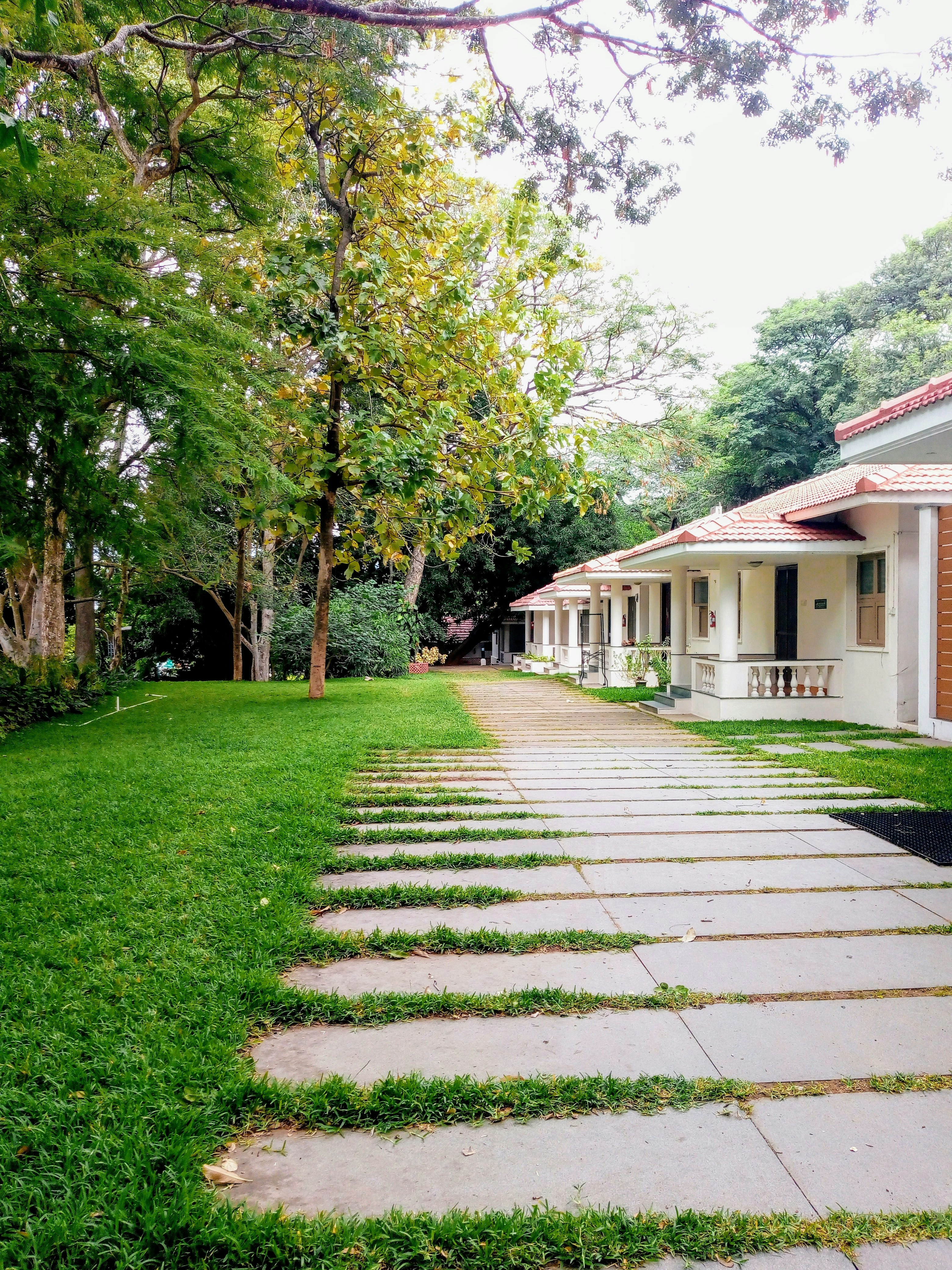 Photo by gsivaganesh26