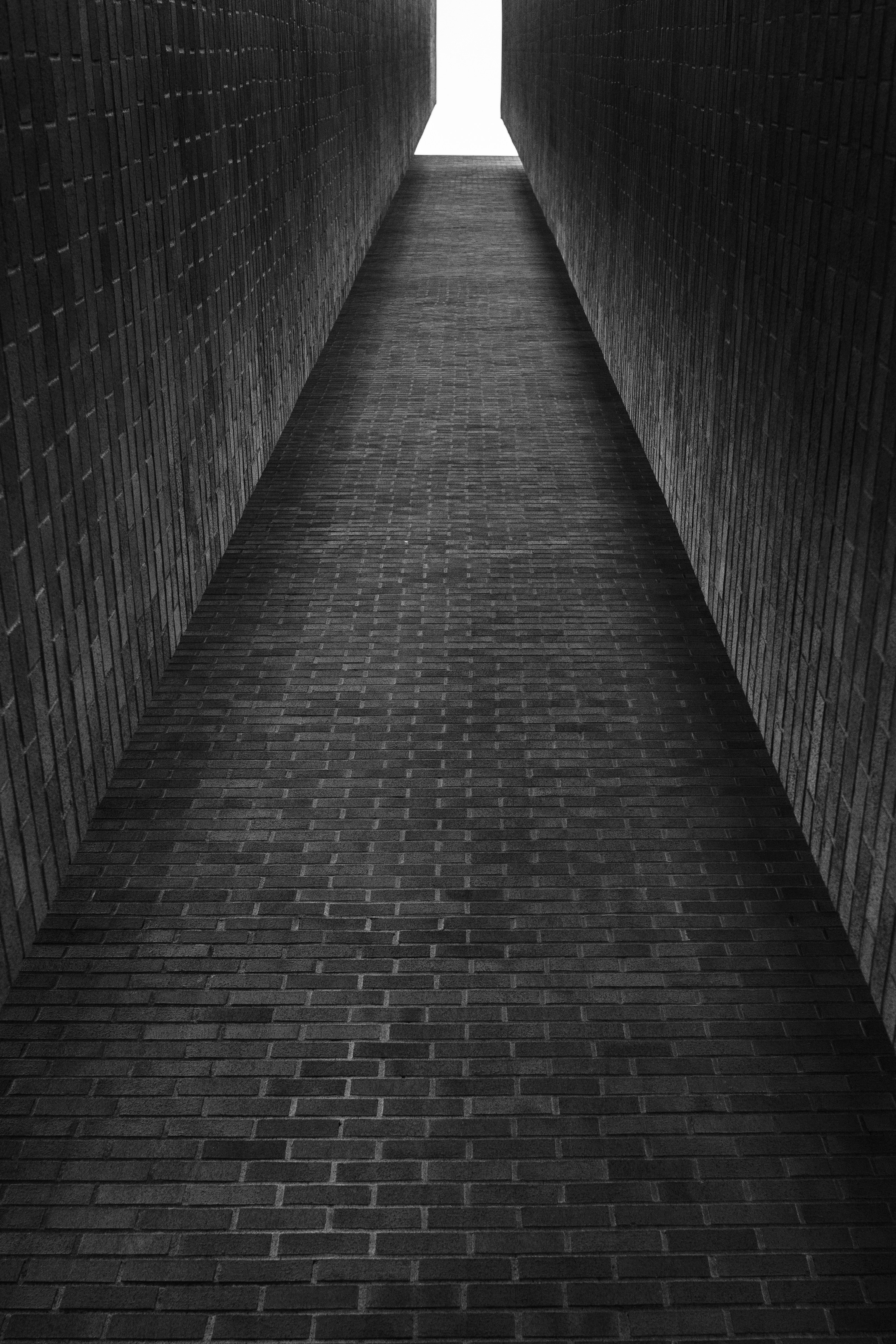 Photo by nickrbolton