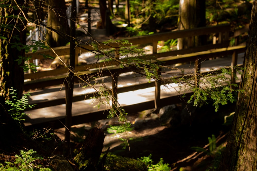 empty brown wooden footbridge in woods