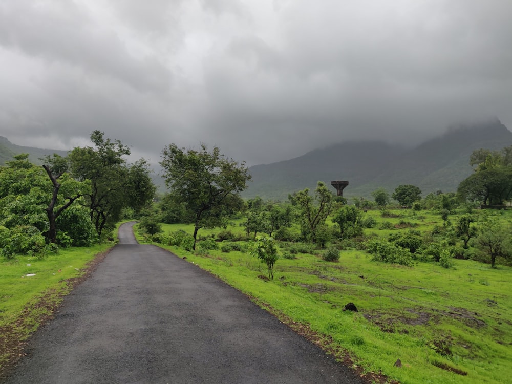 black asphalt road besides green grassland