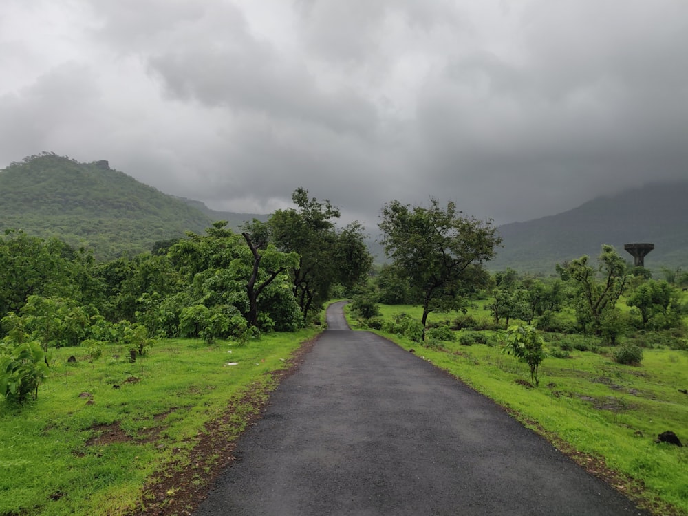 gray concrete road near trees