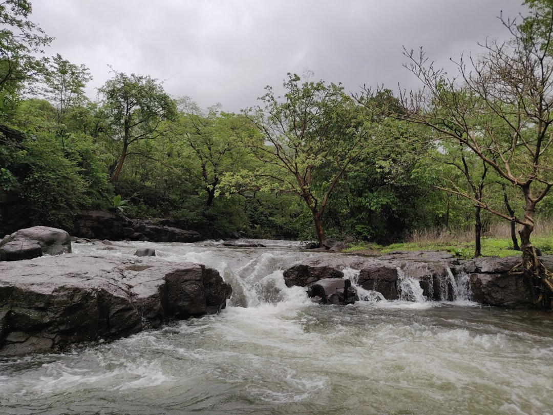 River photo spot Near high school Chirner Mumbai