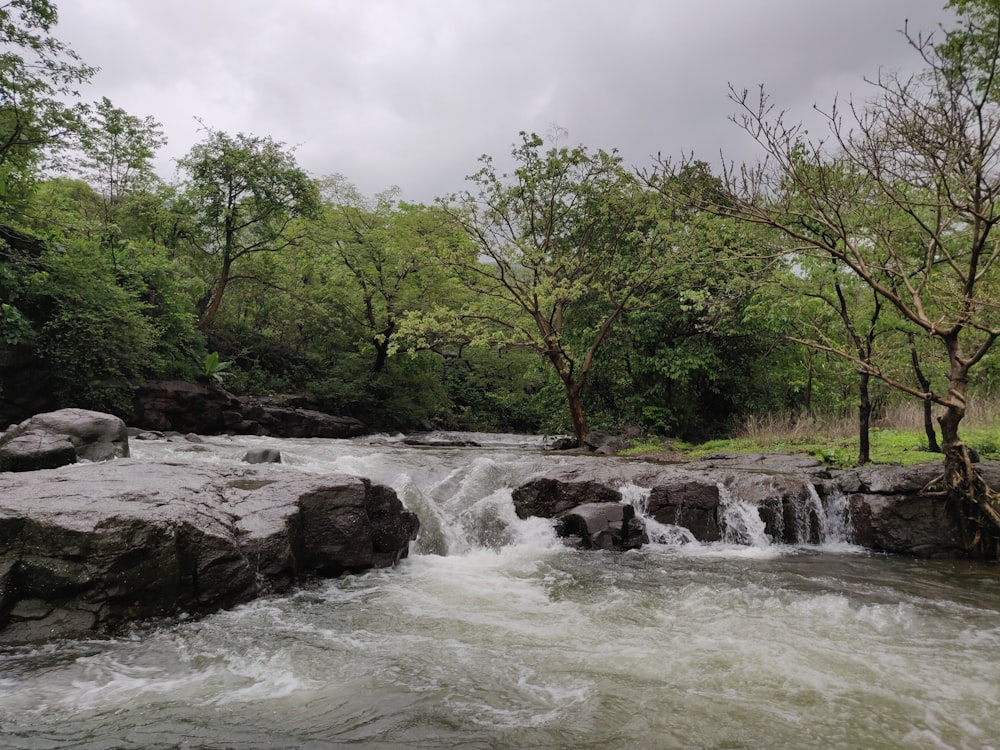 time lapse photo of river