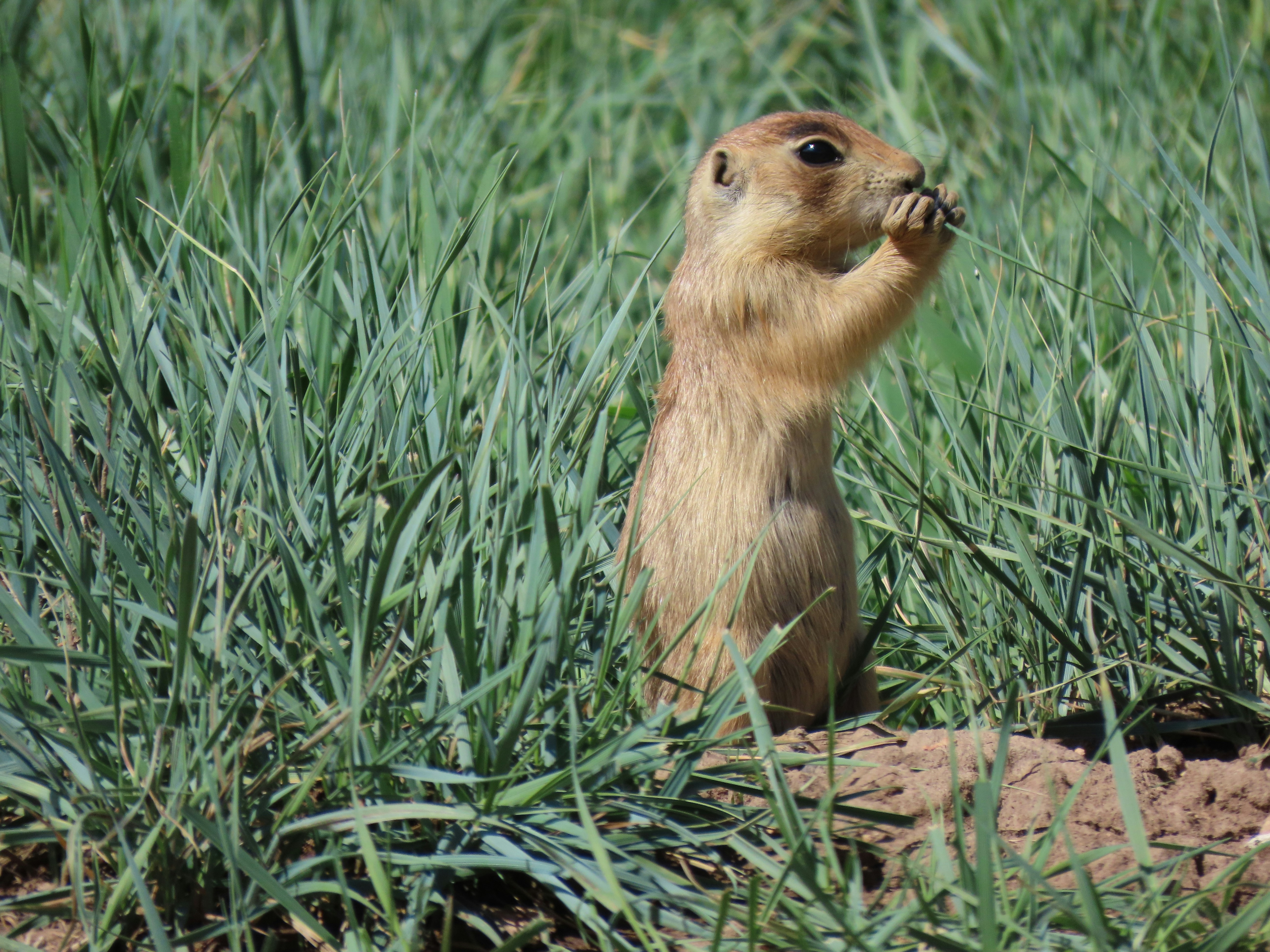 Photo by reid_buchanan