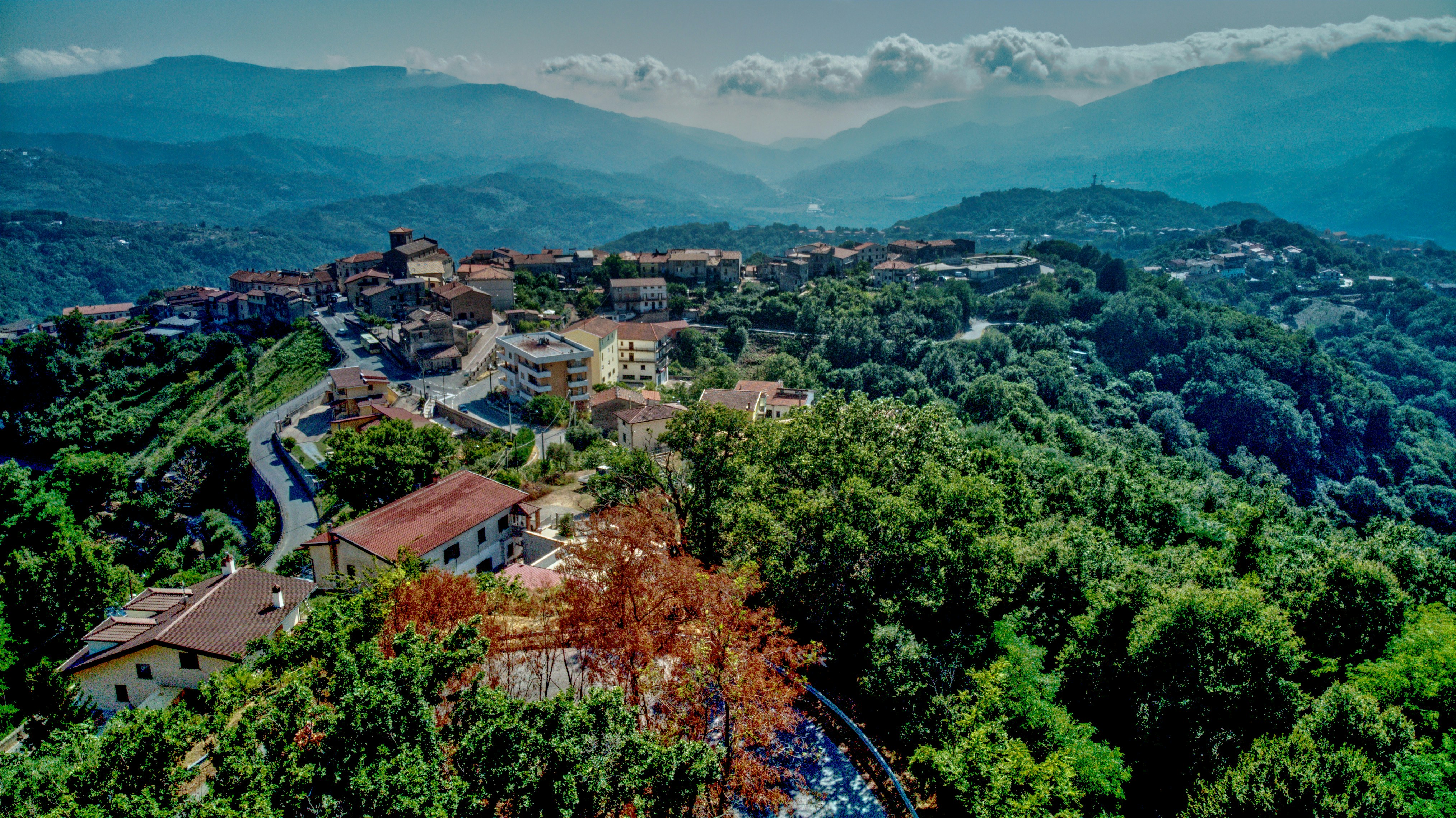 Photo by macad