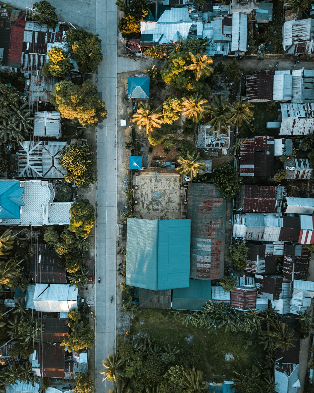 aerial photography of houses