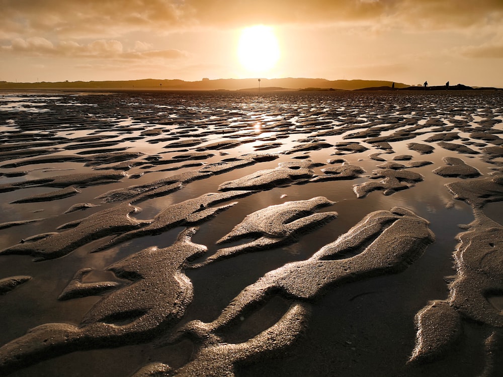 body of water during golden hour