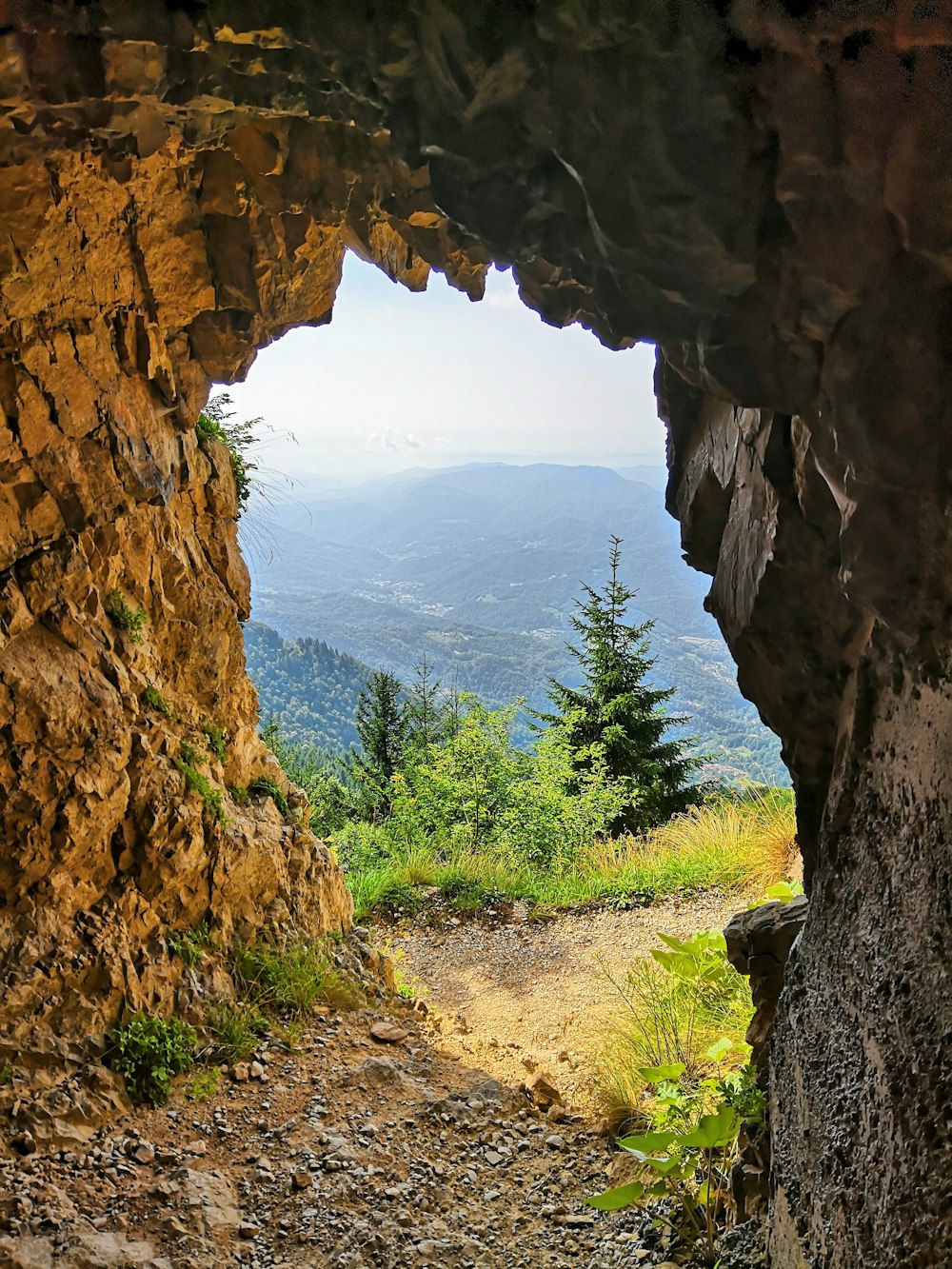 brown cave across green pine trees