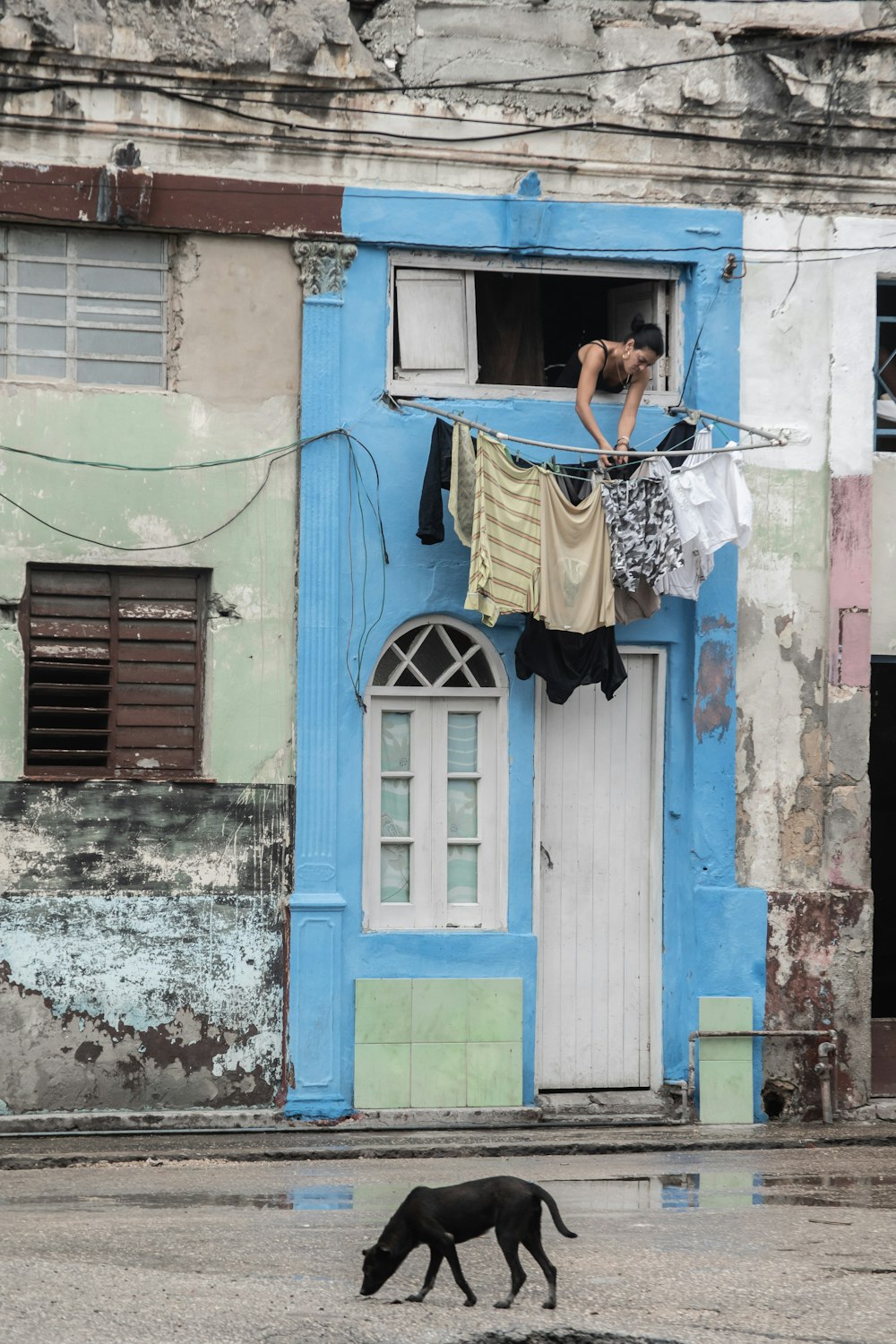 chien près de la porte d’entrée de la maison