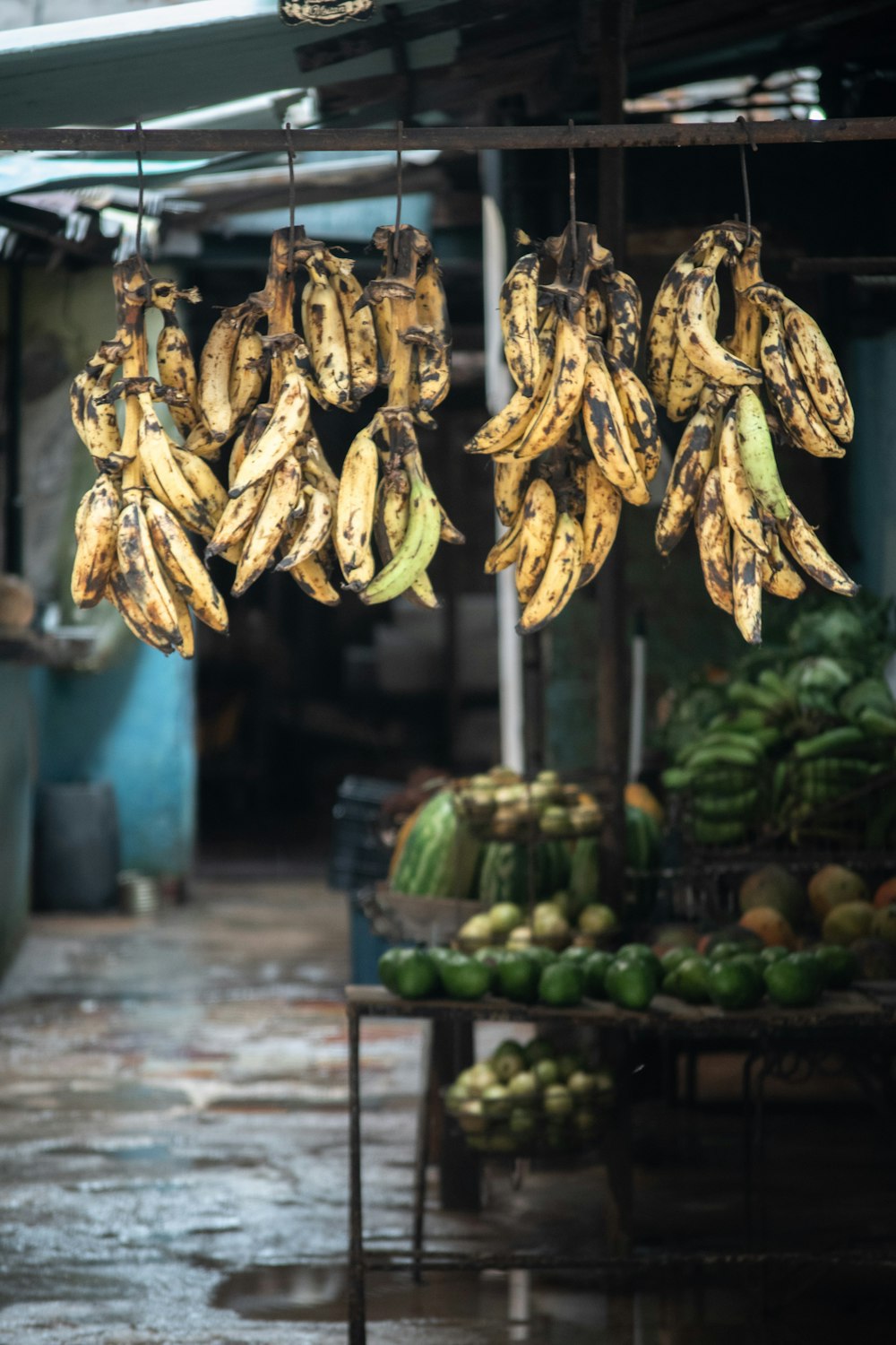 bunch of bananas hanging on canopy