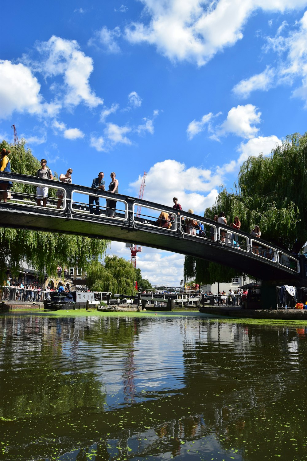 people on bridge