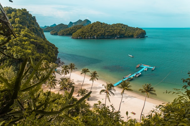A tropical beach scene with clear turquoise waters and lush green islands in the background. Palm trees line the sandy shore, and several boats are docked at a blue pier extending into the water. The view is from a slightly elevated position, framed by surrounding foliage.