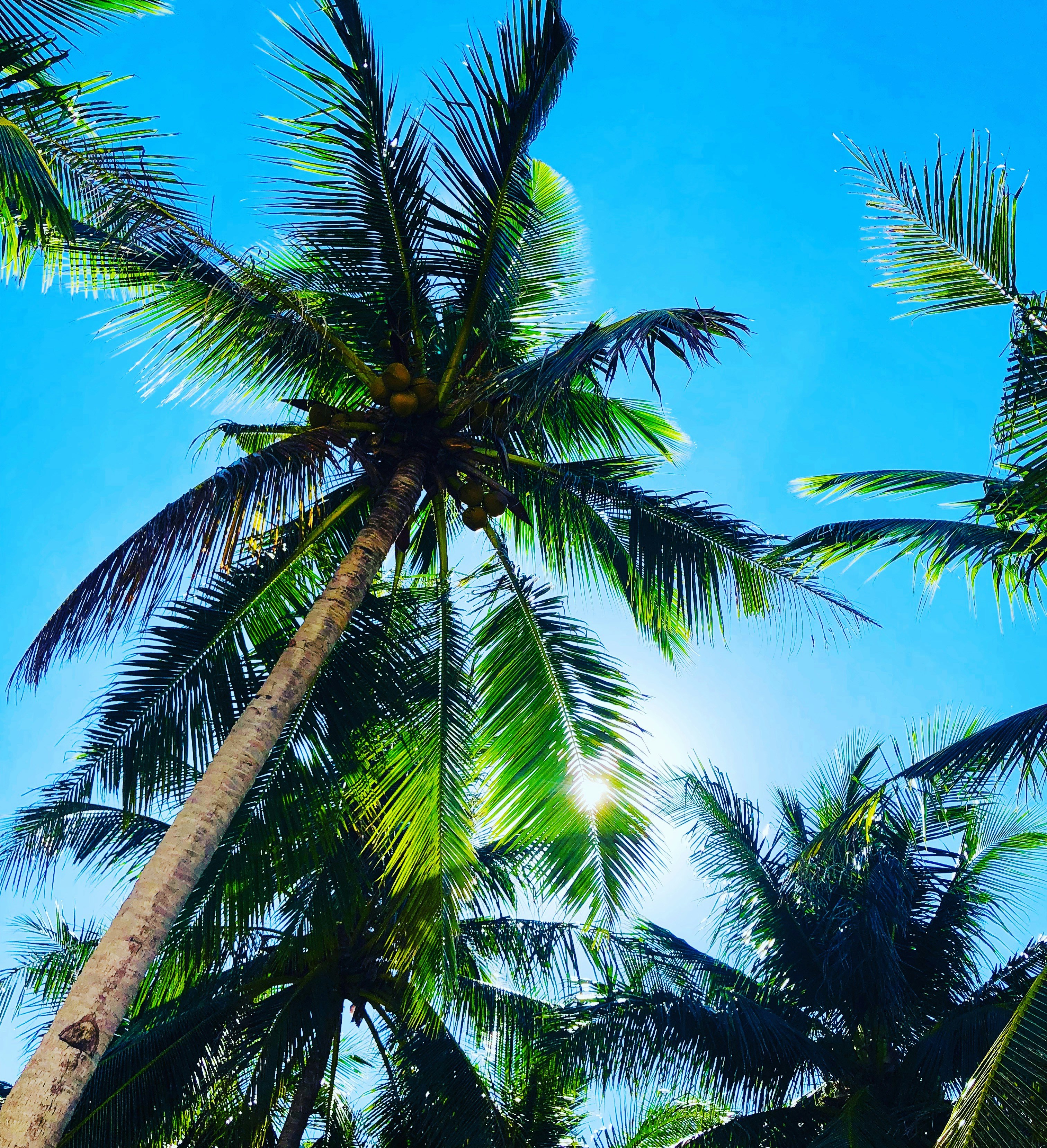 Photo by blackbladeremix