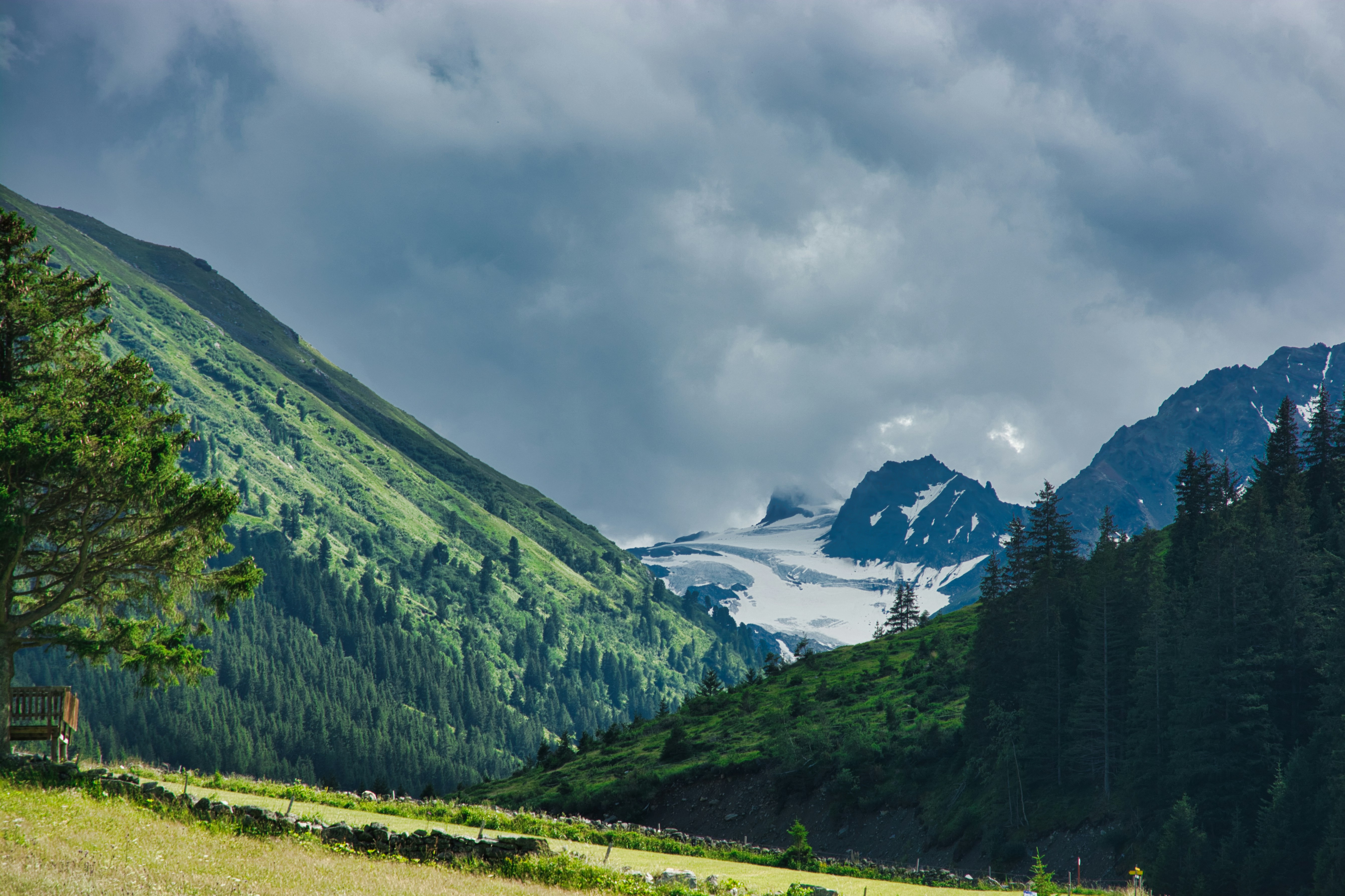 Photo by carlo_knell