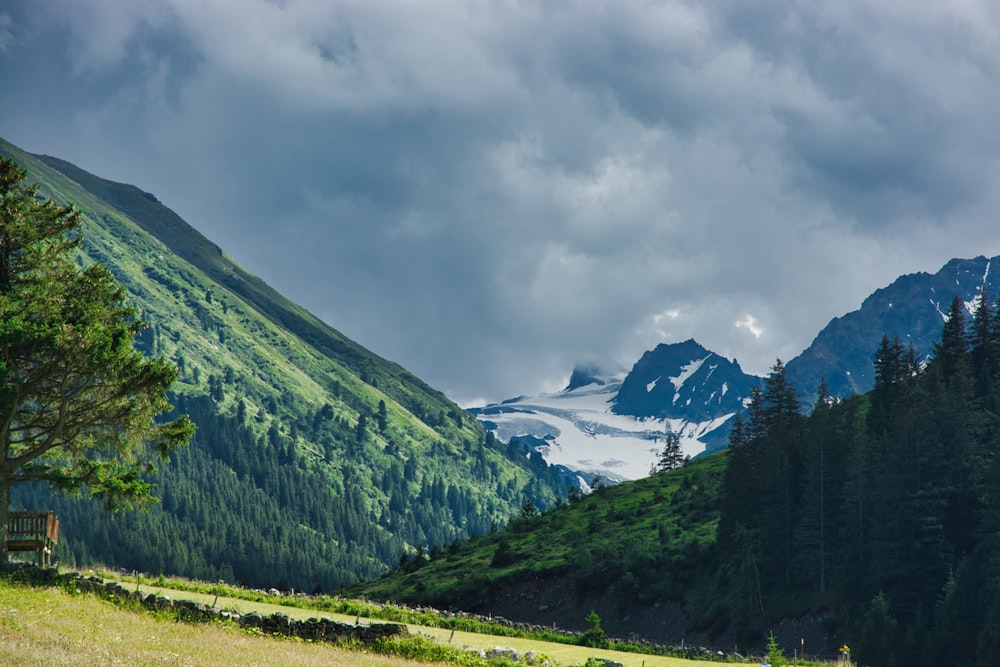 landscape photography of green mountain