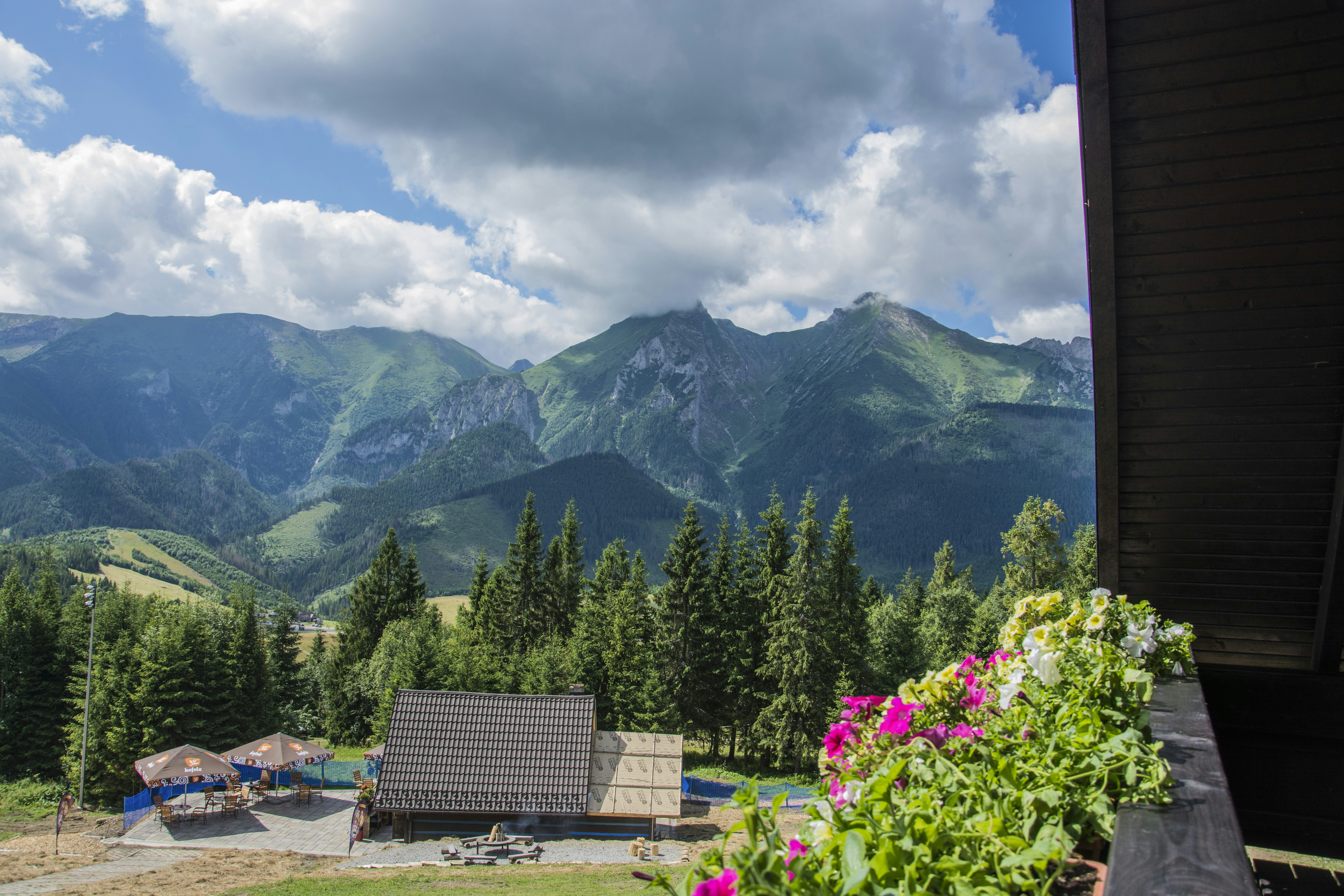 gray and brown house and trees near green mountains under white clouds