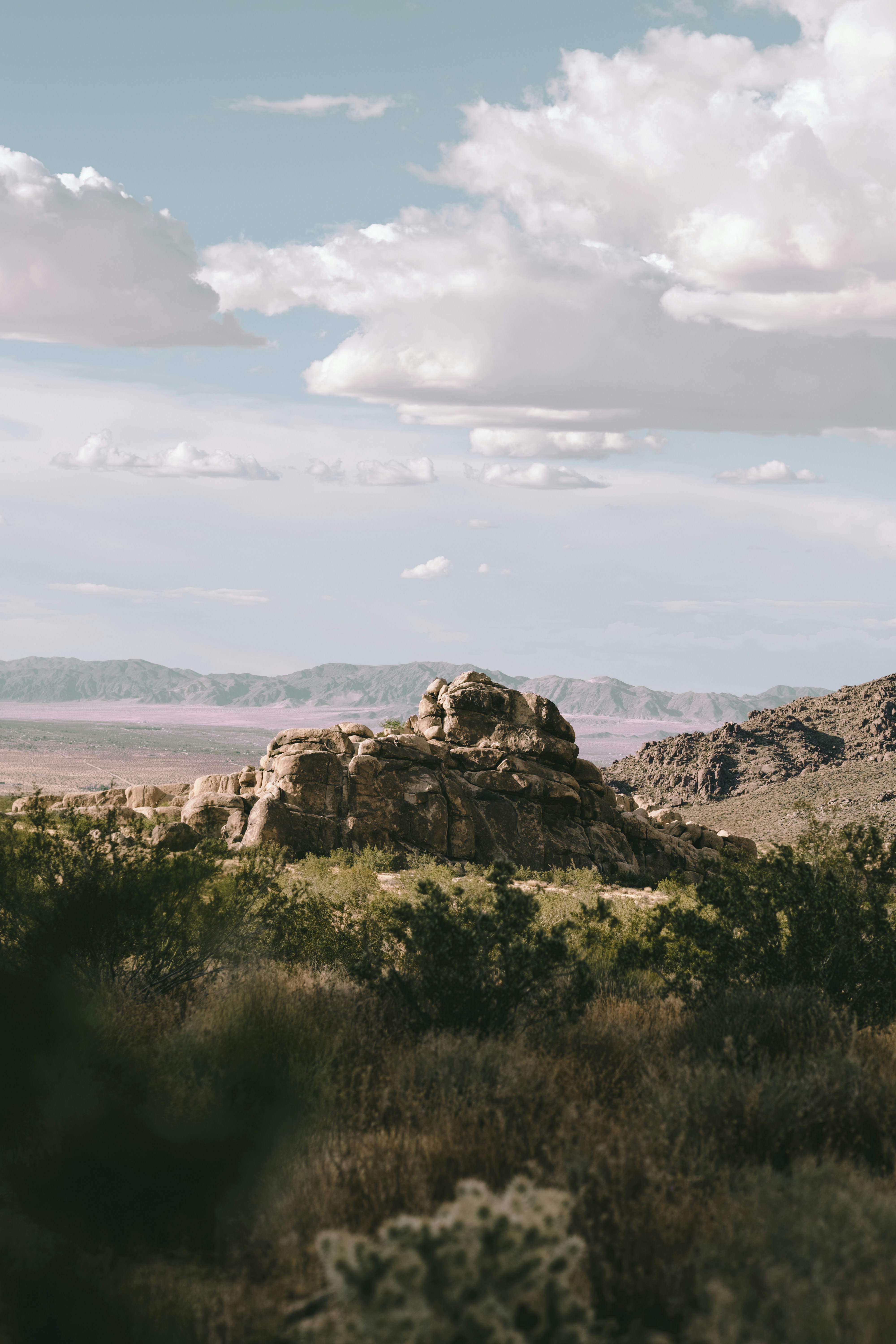 Photo by mickeydziwulski