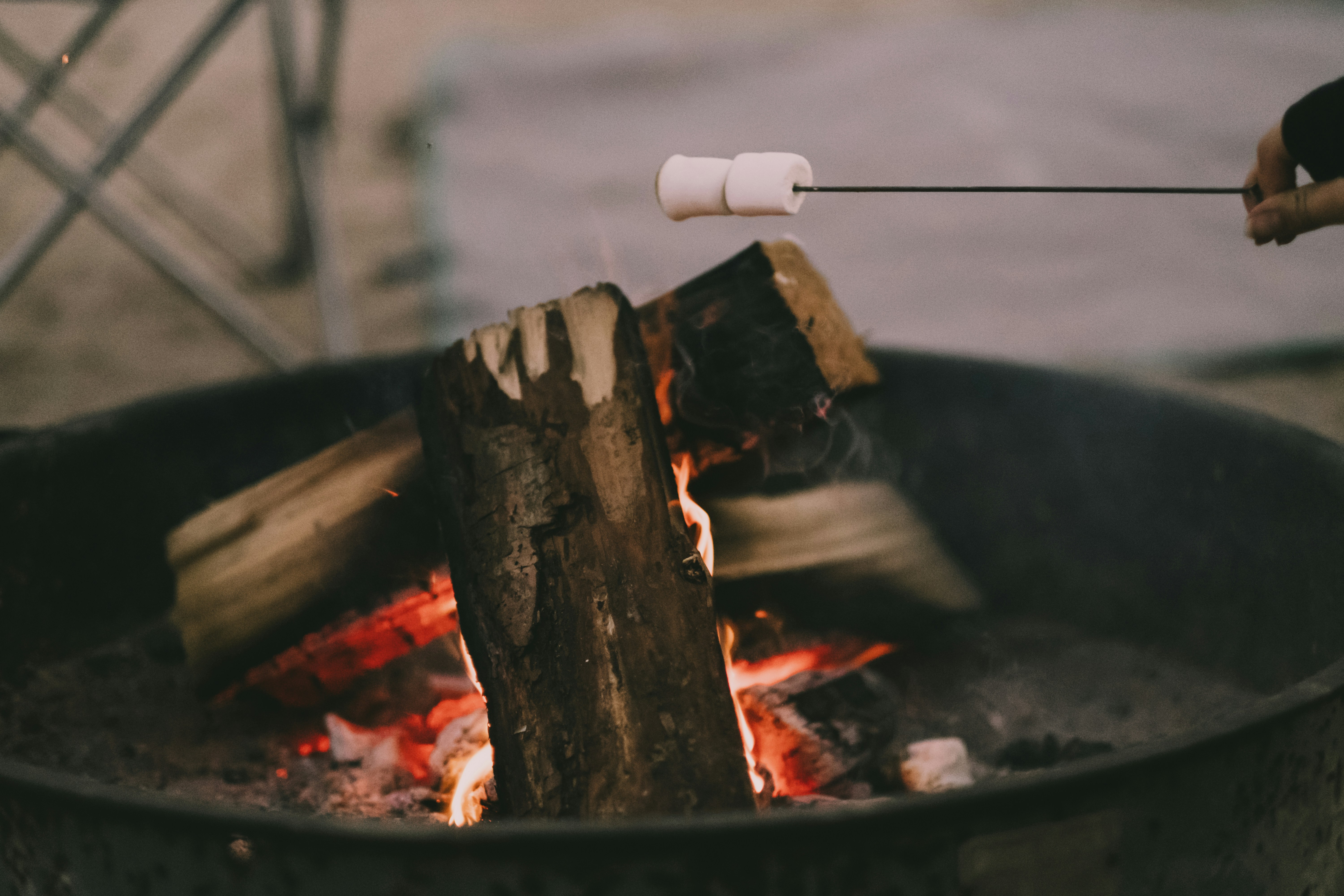 Photo by mickeydziwulski