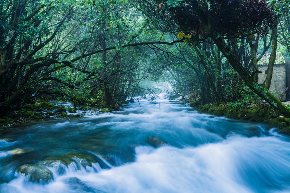 photography of river during daytime