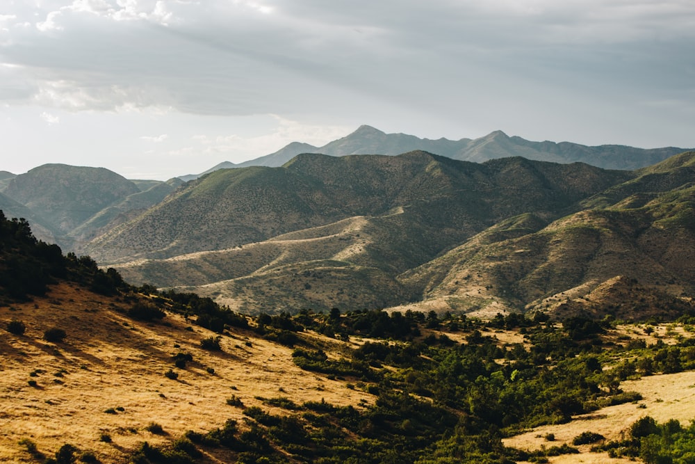 aerial-photography of mountain