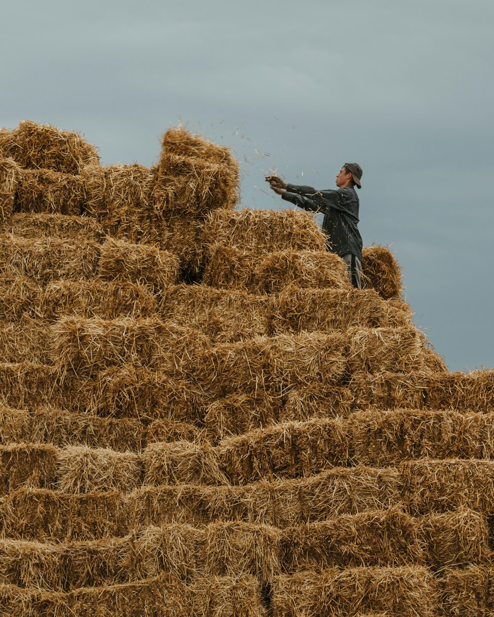 man in grey jacket on hay