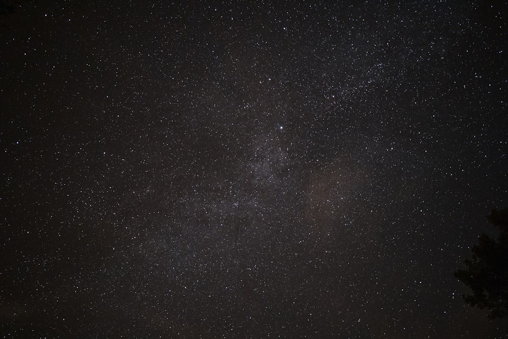 black and brown milky way