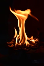 Abstract dark phoenix rising with soft glowing embers around.