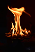 A glowing phoenix rising from warm golden and violet flames in an elegant, modern style