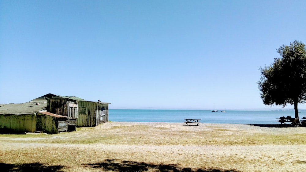 brown nipa hut near body of water