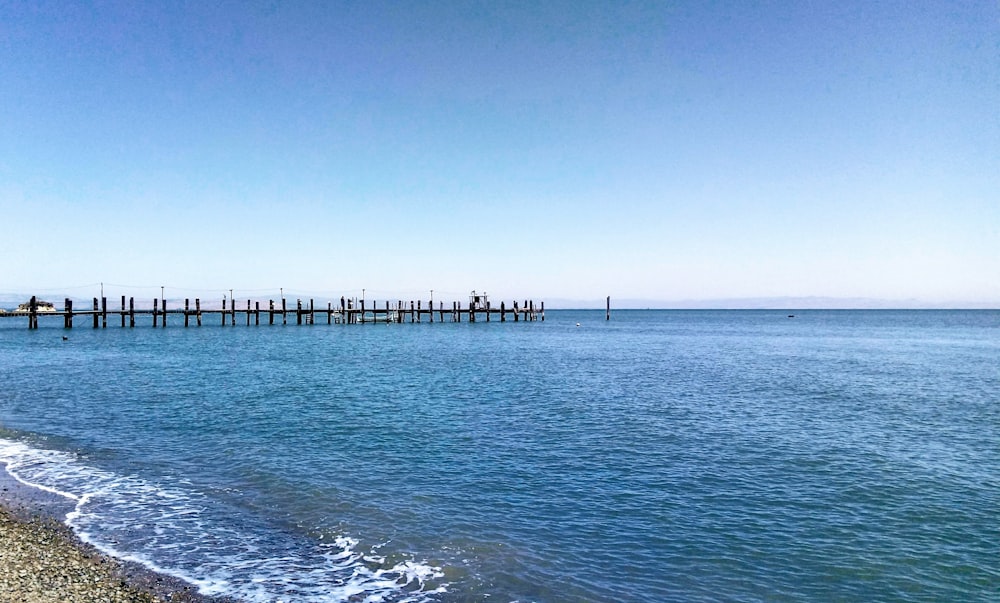 calm sea water with view of sea dock