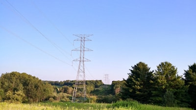 A landscape featuring tall metal electricity pylons extending into the distance, set against a clear blue sky. Lush greenery is present in the foreground, with trees scattered throughout, creating a serene and vast natural scene.