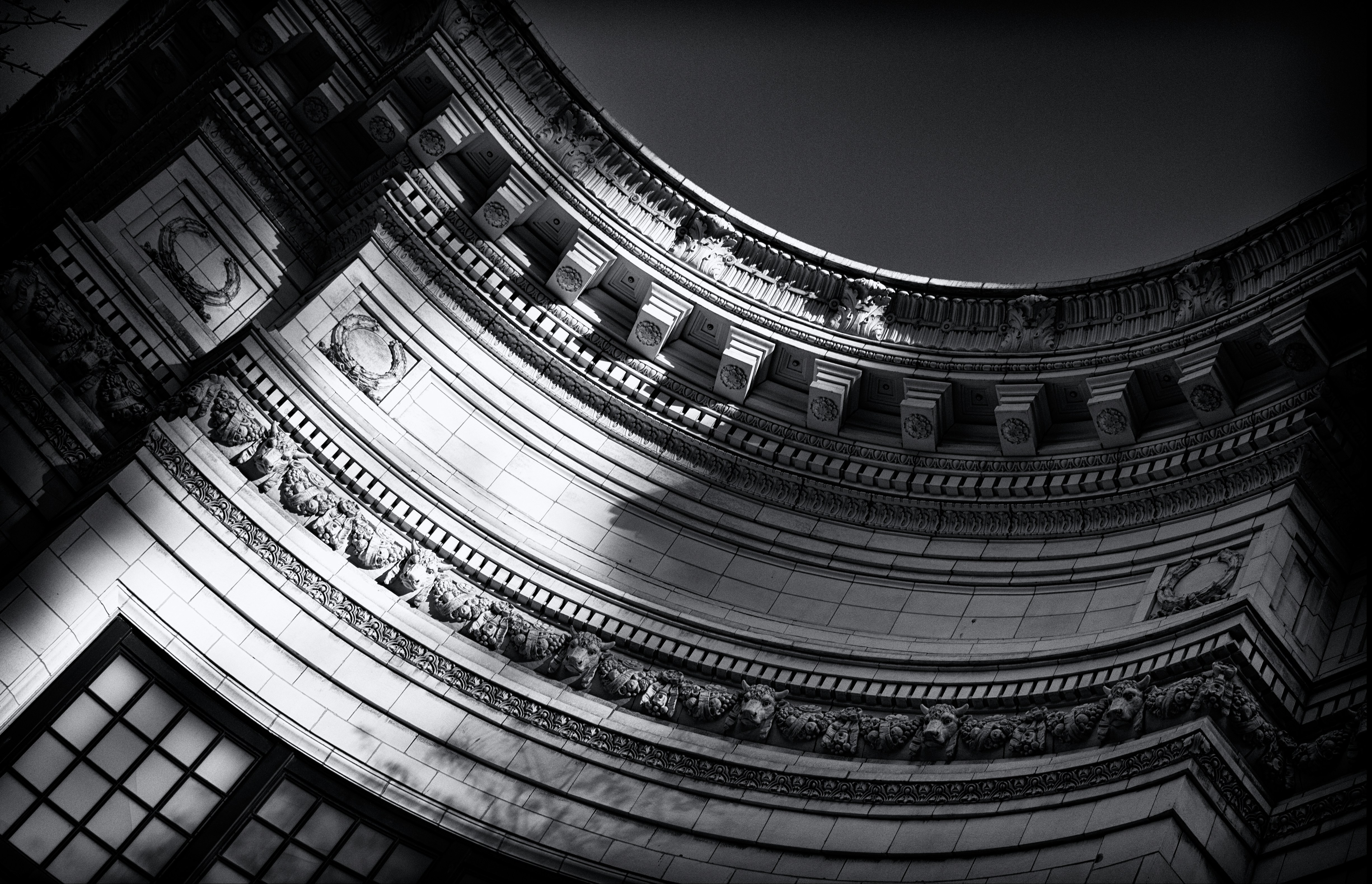 Photo by dr_joni_multimedia