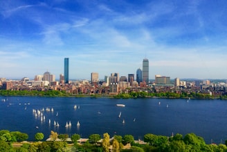 body of water near cityscape at daytime