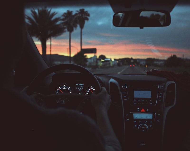 Persona alla guida di unautomobile