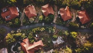 aerial photography of houses and trees