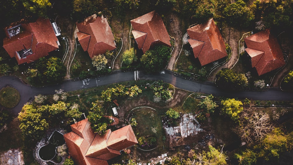 aerial photography of houses and trees