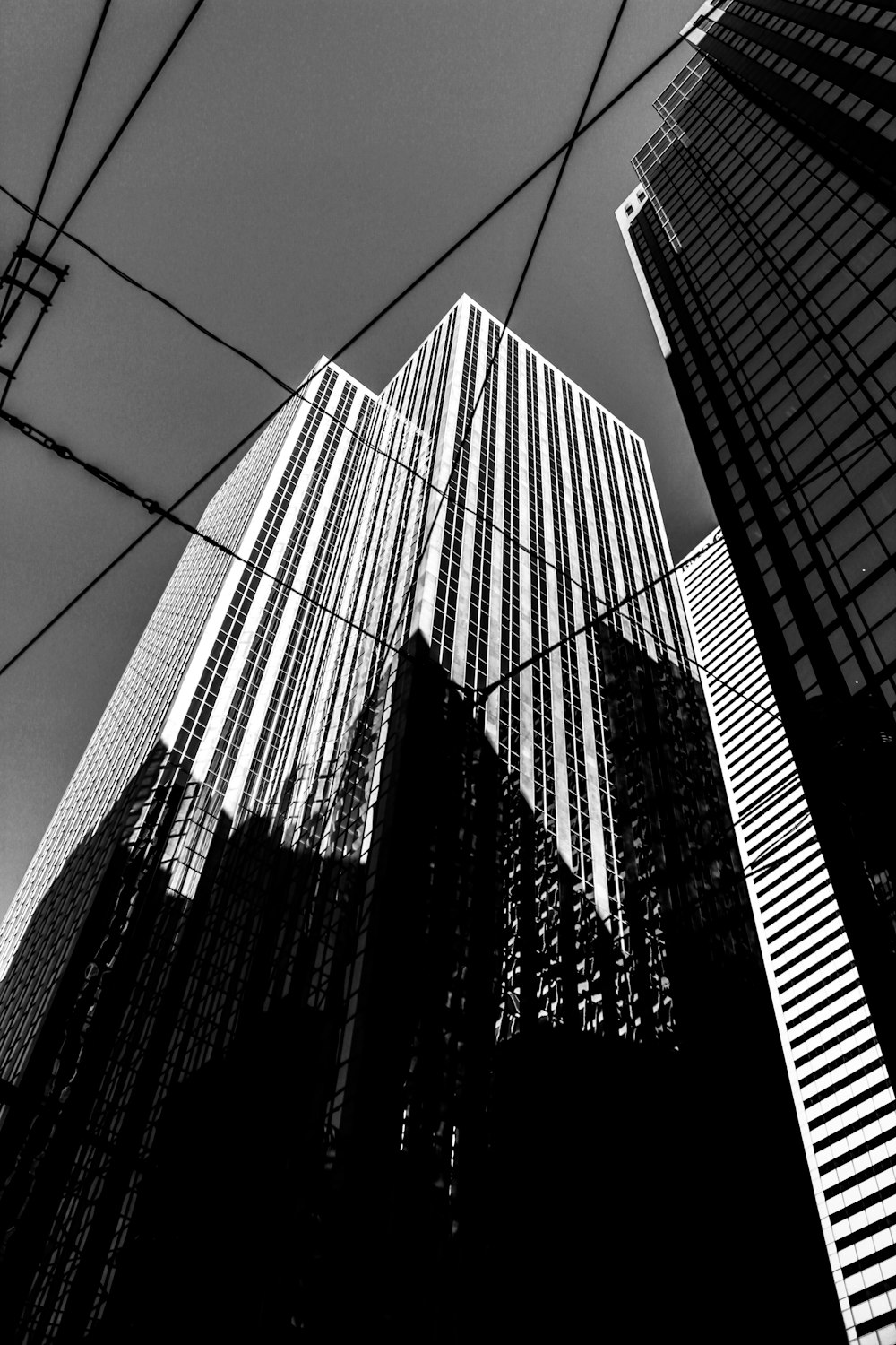 low angle photo of high-rise buildings