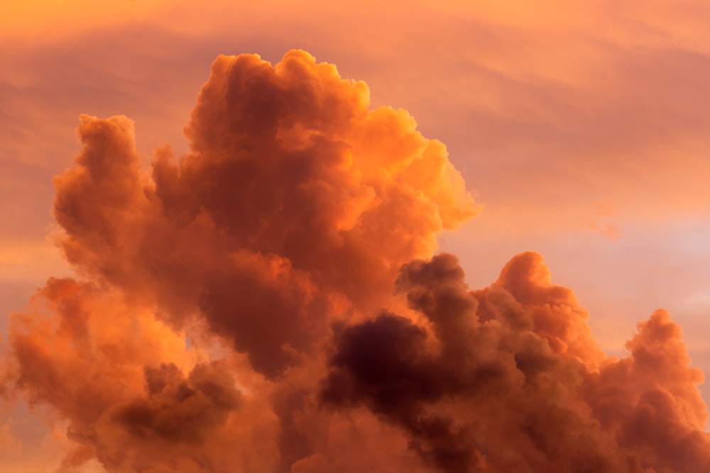 Traditional pagoda street scene in Kyoto with cherry blossoms