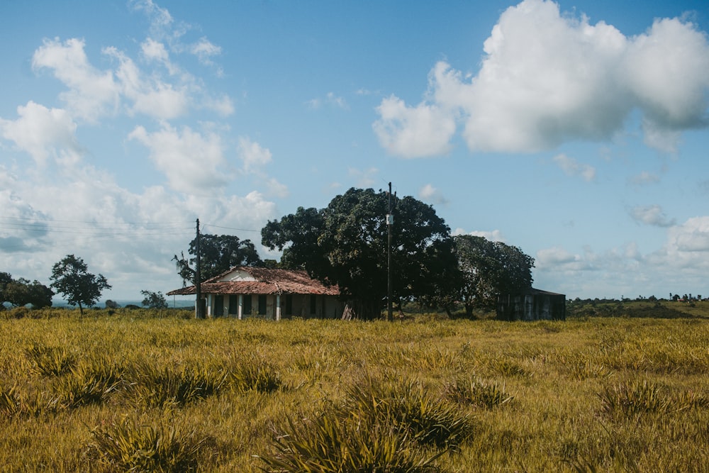 brown wooden house