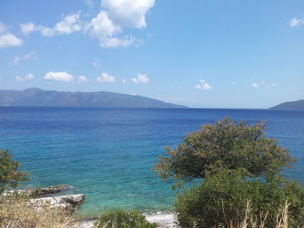 ocean under blue sky