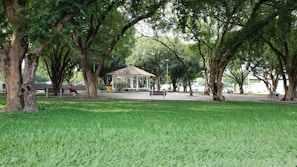 A peaceful park area in Ipatinga with people relaxing and children playing