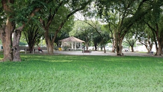 A peaceful park area in Ipatinga with people relaxing and children playing
