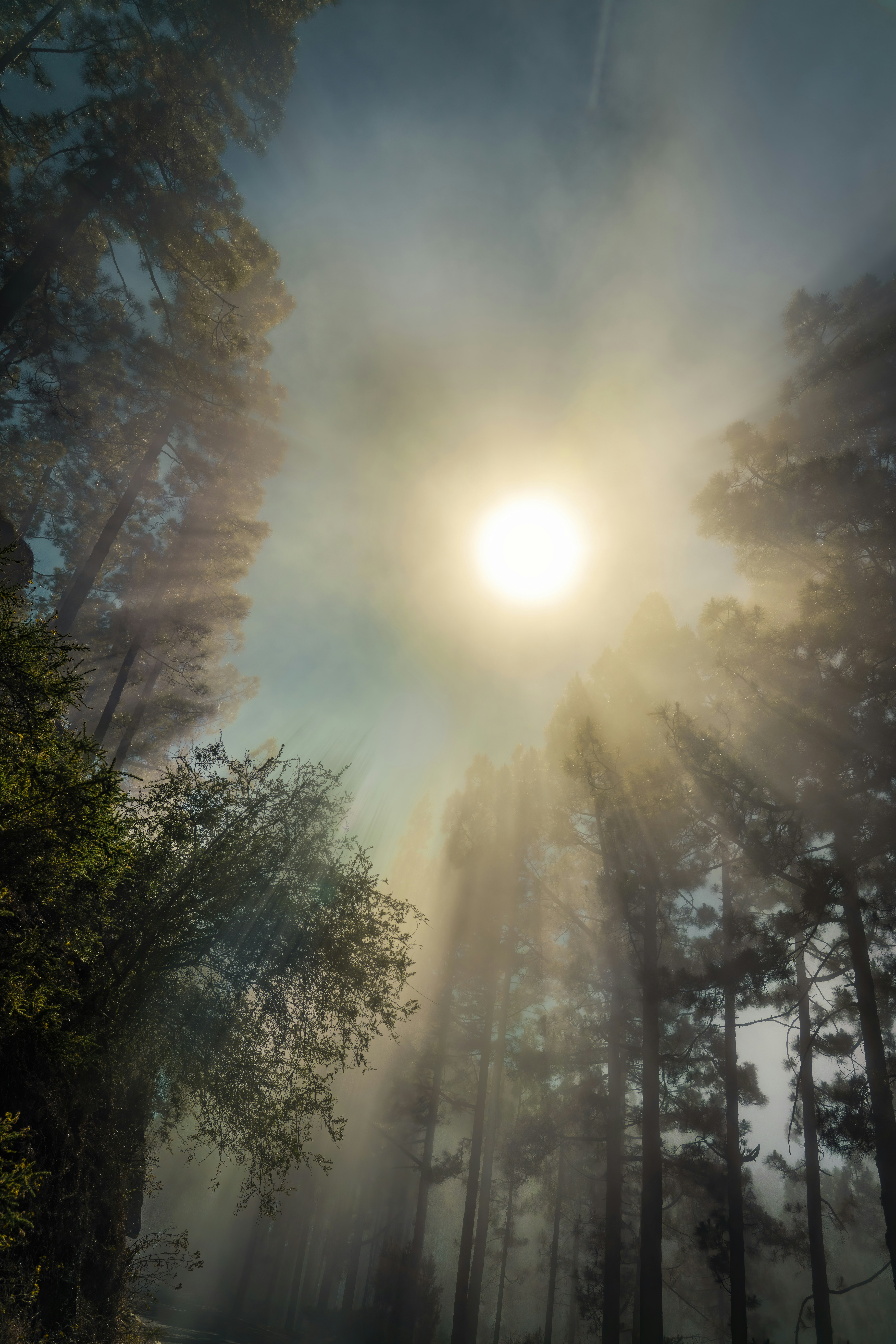 Photo by christianbuehner