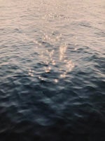 Delicate star-shaped light reflections twinkling over a smooth midnight blue surface
