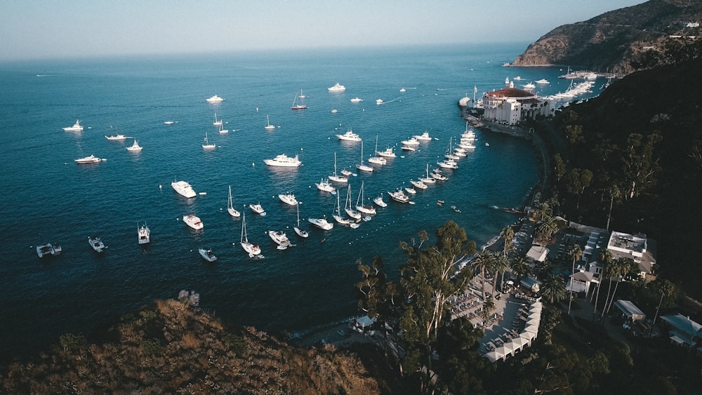 boats on water