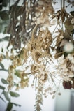 A collection of dried flowers and foliage hangs in a cluster, featuring delicate white blossoms, dried grasses, and preserved leaves in muted tones. The composition has a soft, vintage appearance with intricate details in the floral arrangements.