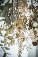 A collection of dried flowers and foliage hangs in a cluster, featuring delicate white blossoms, dried grasses, and preserved leaves in muted tones. The composition has a soft, vintage appearance with intricate details in the floral arrangements.