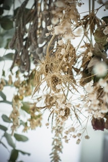 A collection of dried flowers and foliage hangs in a cluster, featuring delicate white blossoms, dried grasses, and preserved leaves in muted tones. The composition has a soft, vintage appearance with intricate details in the floral arrangements.