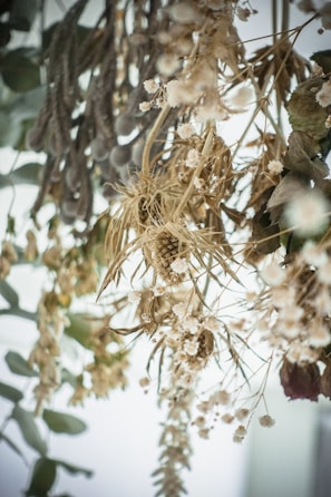 A collection of dried flowers and foliage hangs in a cluster, featuring delicate white blossoms, dried grasses, and preserved leaves in muted tones. The composition has a soft, vintage appearance with intricate details in the floral arrangements.
