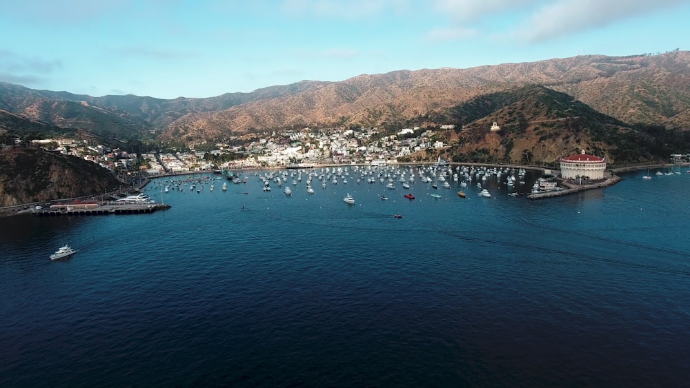 aerial photo of island